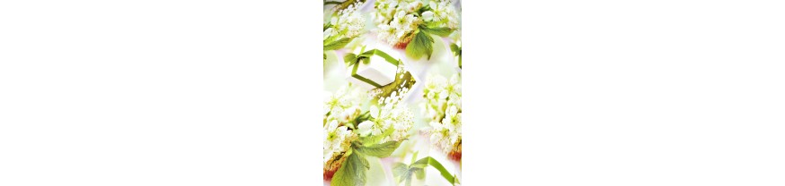 Бумага для упаковки подарков в Amodashop.ru